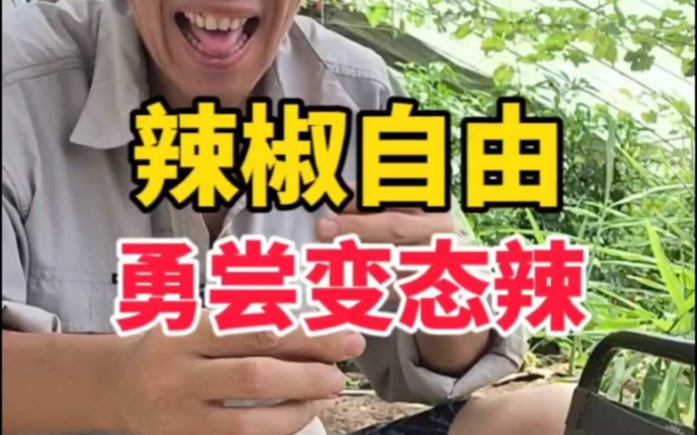 辣椒自由，长势疯狂，勇尝变态辣。
