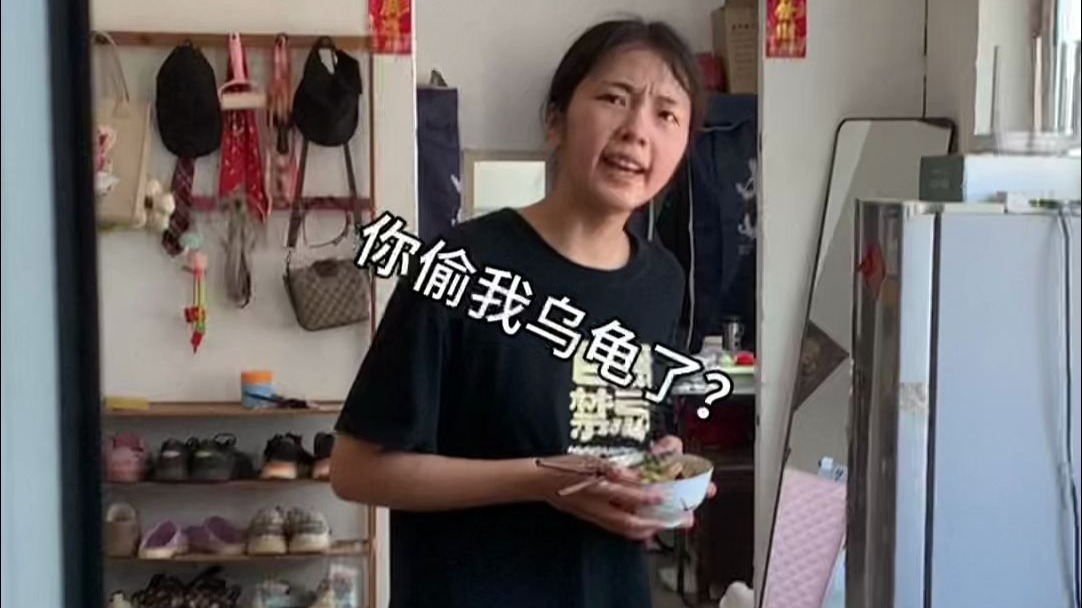 乌龟已寻回，鱼坚强已离世，养鱼之道心稍有松动！