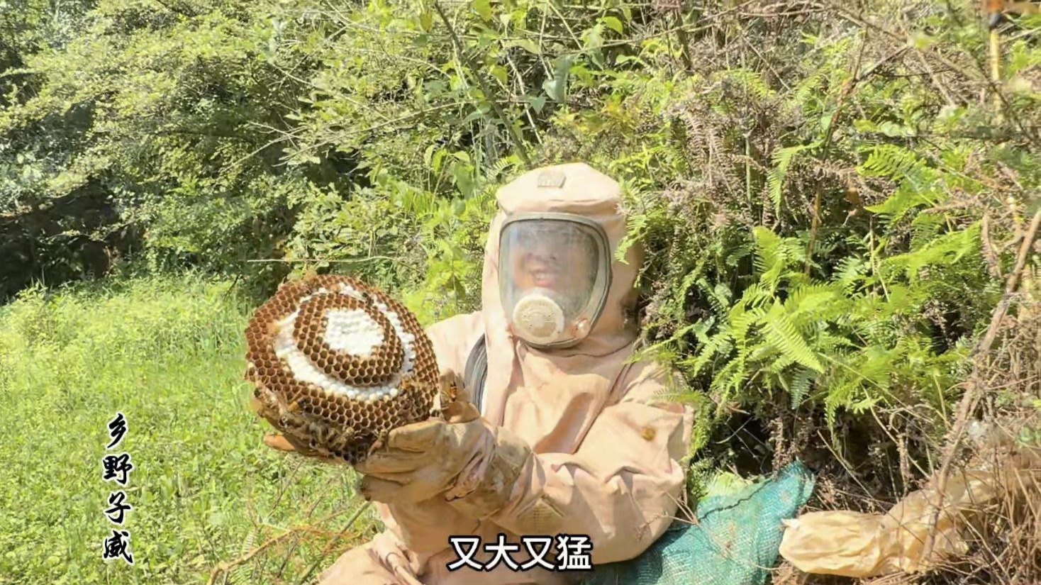 农田旁黑尾伤人，老农求助，子威带上装备立即前往一只不剩