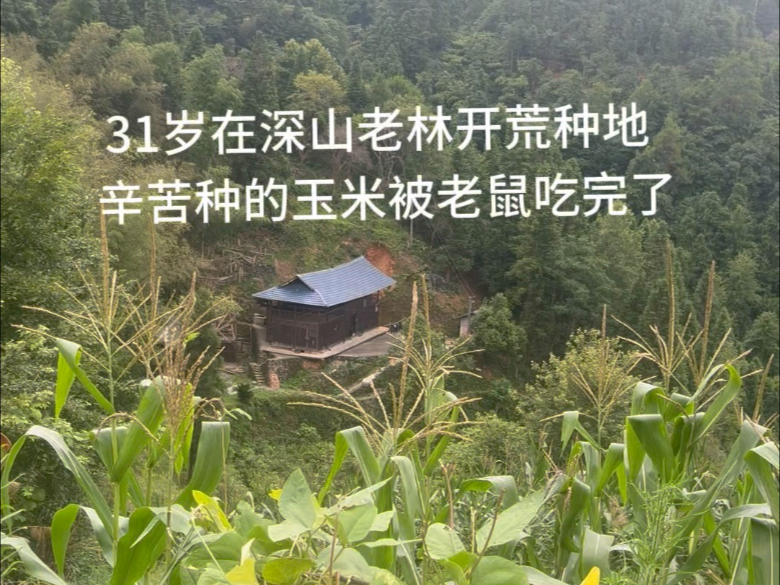 当知足凌驾于欲望之上，幸福将会贯穿一生。