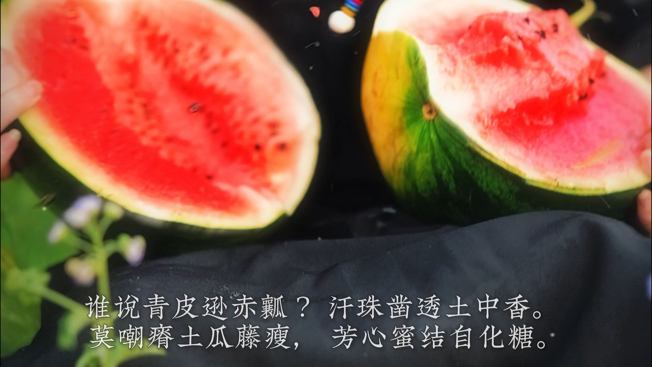 《瘦瓜》 在意别人口中的结果，不如享受自己的过程#泽华君 #吟