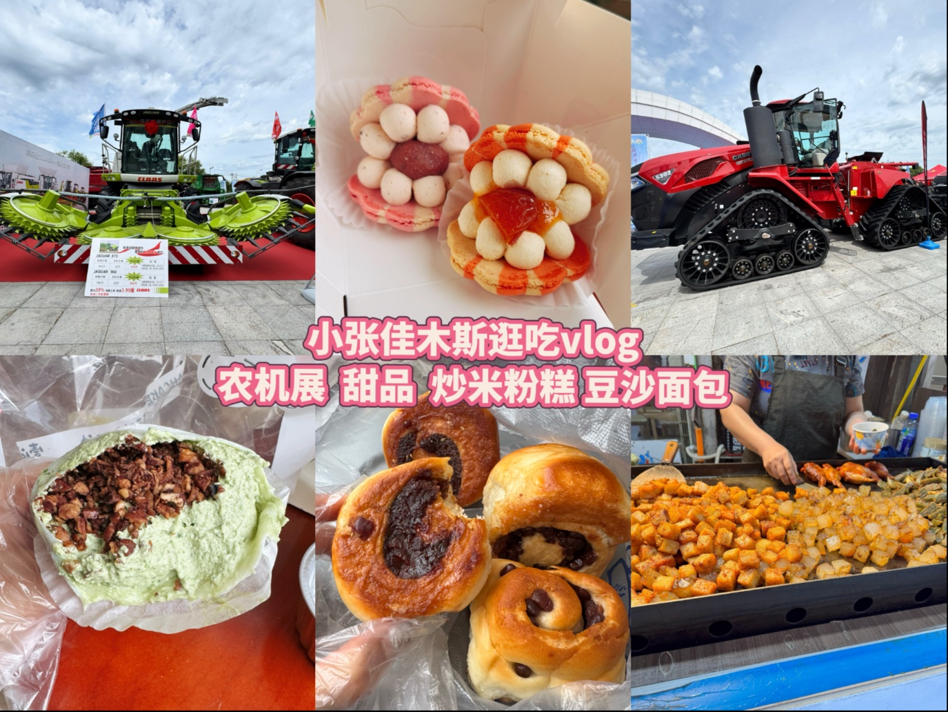 小张佳木斯逛吃vlog/变形金刚9土地征服者/胖马卡龙/炒米粉糕