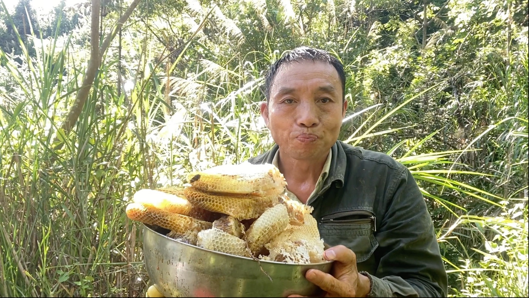 今天到山里割土蜂蜜