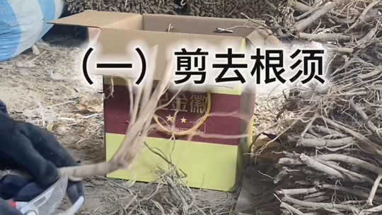 【今日memes】大学生毕业回农村帮家里干农活