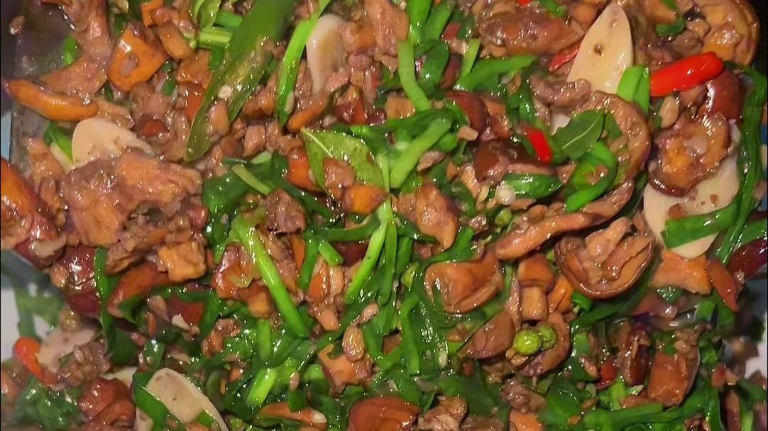 奶浆菌干巴菌