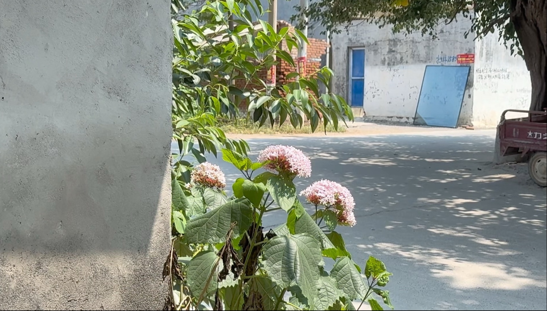 《豫北农民情况考察报告》