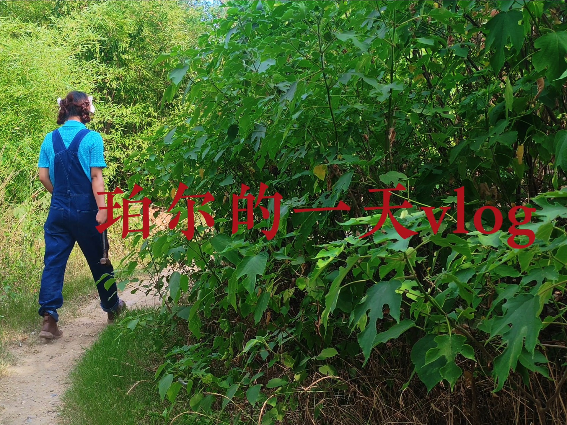 河南珀尔的一天(2)