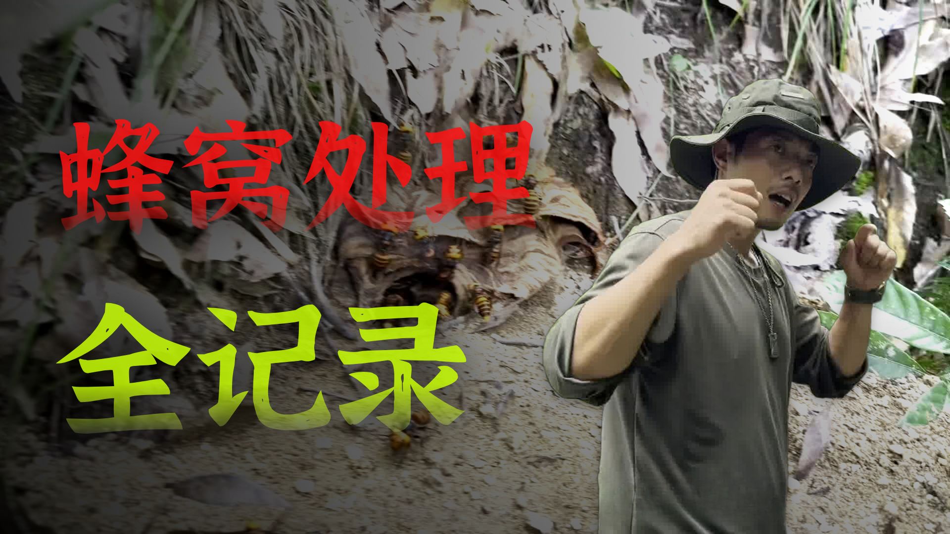 公园路旁惊险大强群，子威叫来伙伴前后路守住，全灭虎头蜂