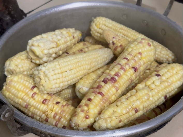 肉摔坏了还可以再长，篮子坏了就要重新买，呜呜呜哇呜哇哇#我的