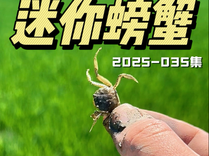 【锦蟹农】最新视频来袭，快来看看吧！