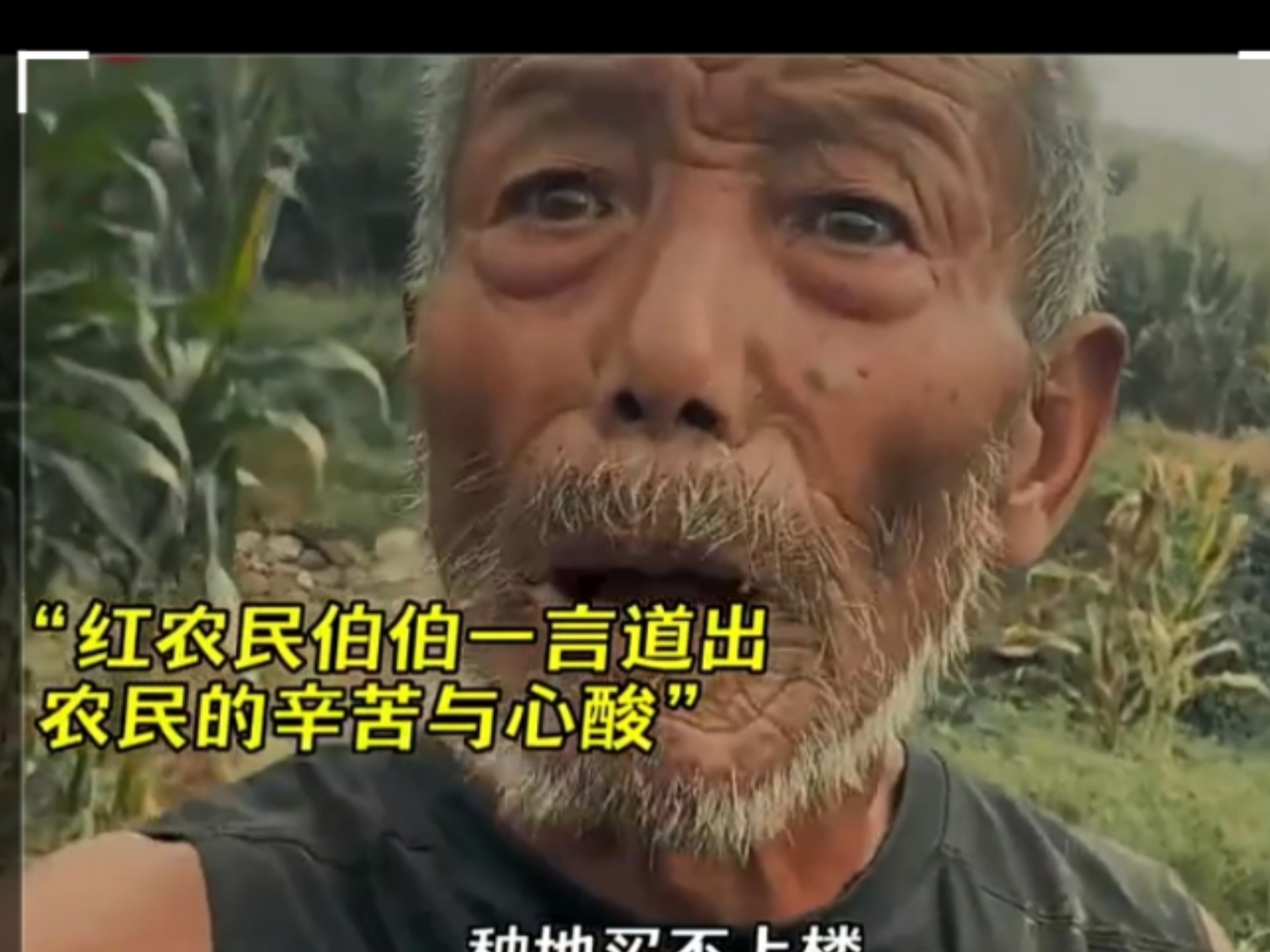 自己过得一地鸡毛，却还是看不得人间疾苦（2）