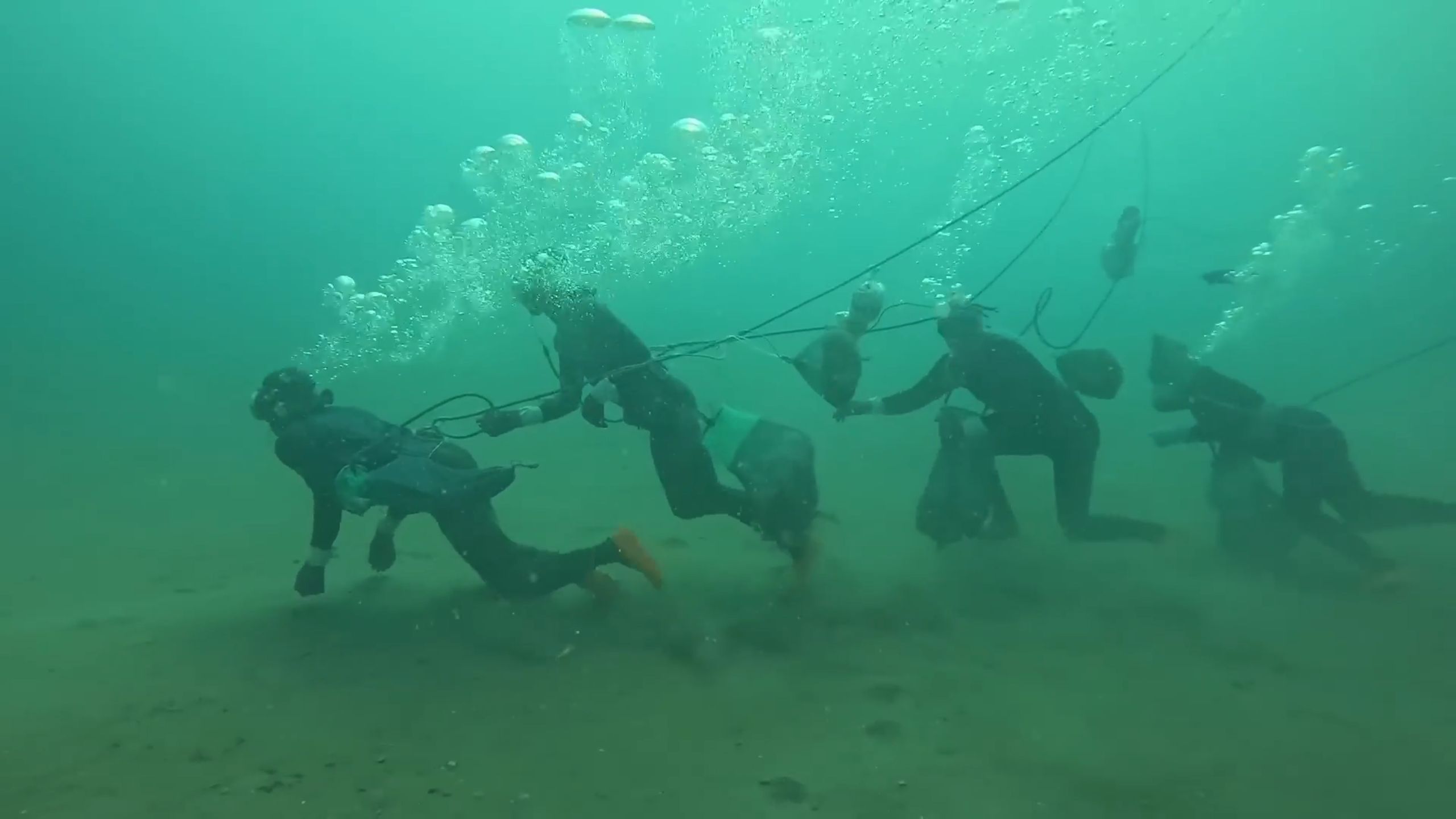 马蹄哒哒哒，海底放纵队赶海日常