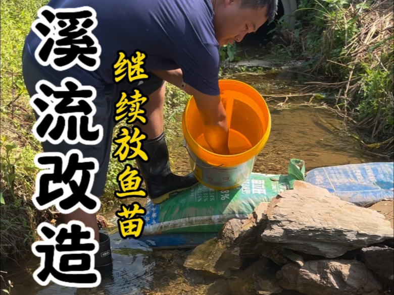 老粉丝说想看小鱼塘和水井，今天刚好没啥事，给你们看看一个三农