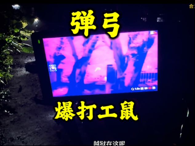 弹弓是不长眼的，打老鼠是需要爆头的