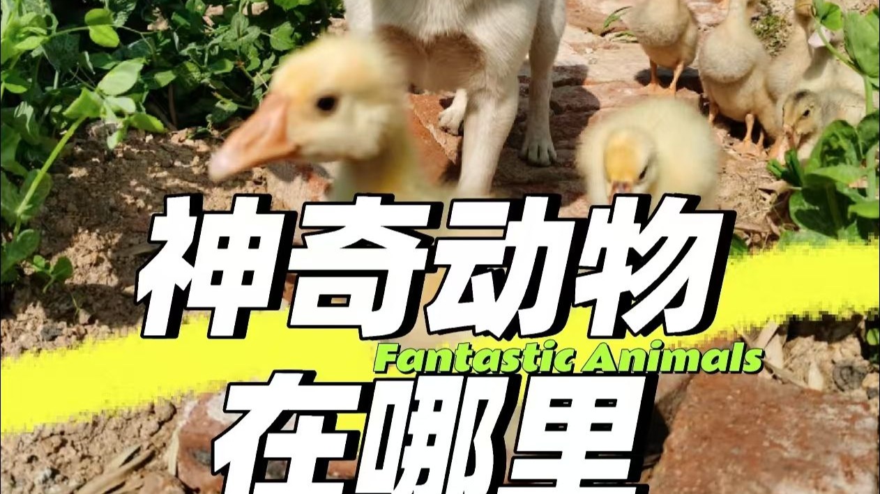 如果用童话模式打开农村养殖……
