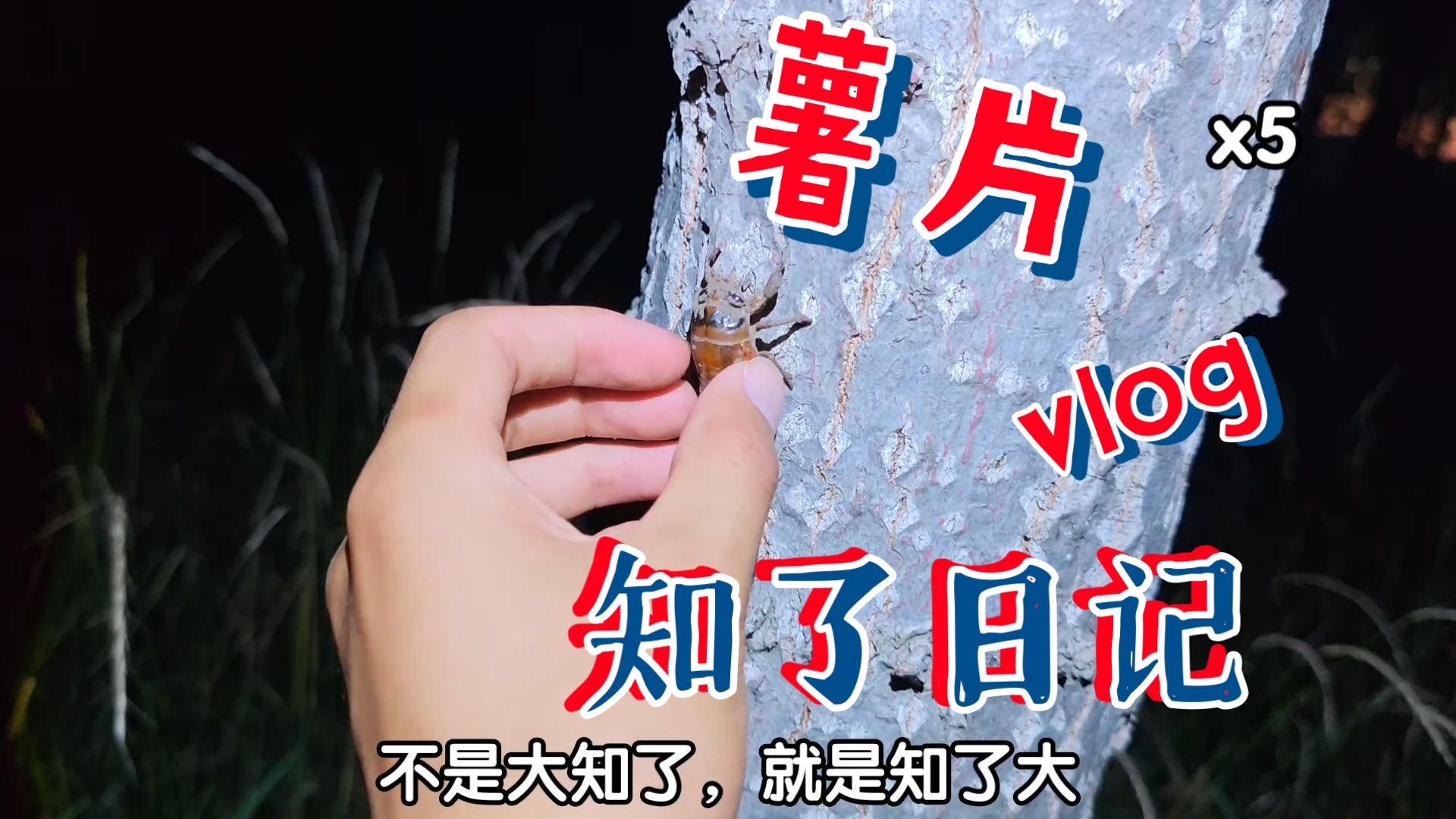 43度 煮啵去抓知了了