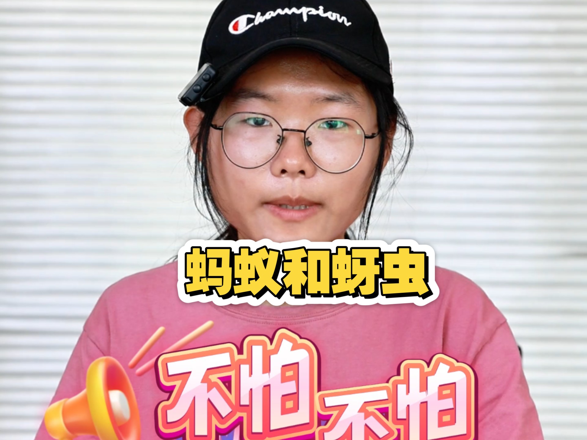 蚂蚁和蚜虫“互相帮助”的模式介绍