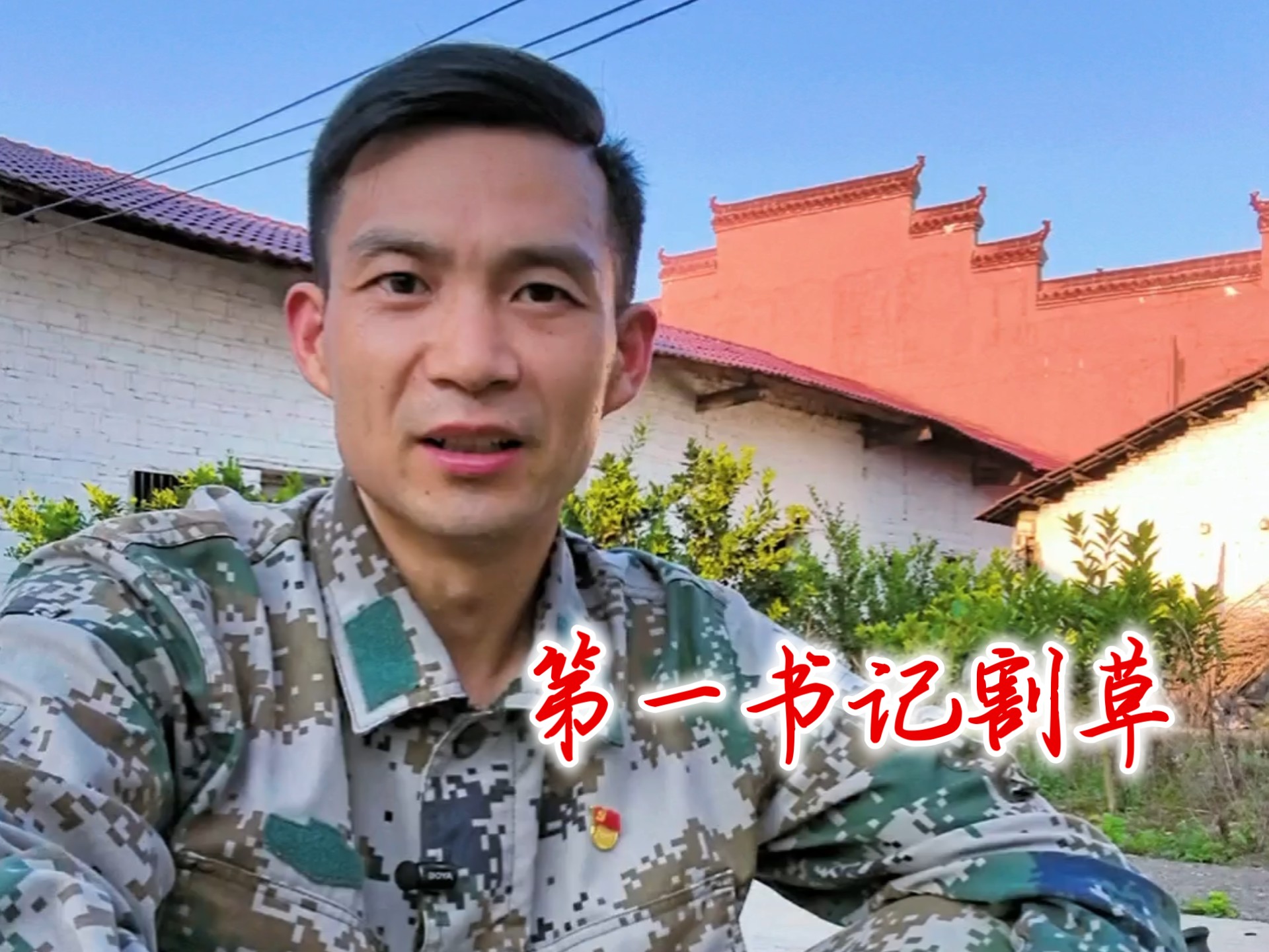 第一书记割草