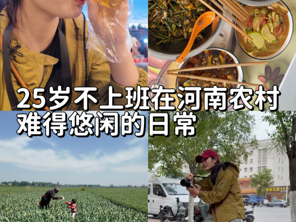 25岁不上班在河南农村的零散日常