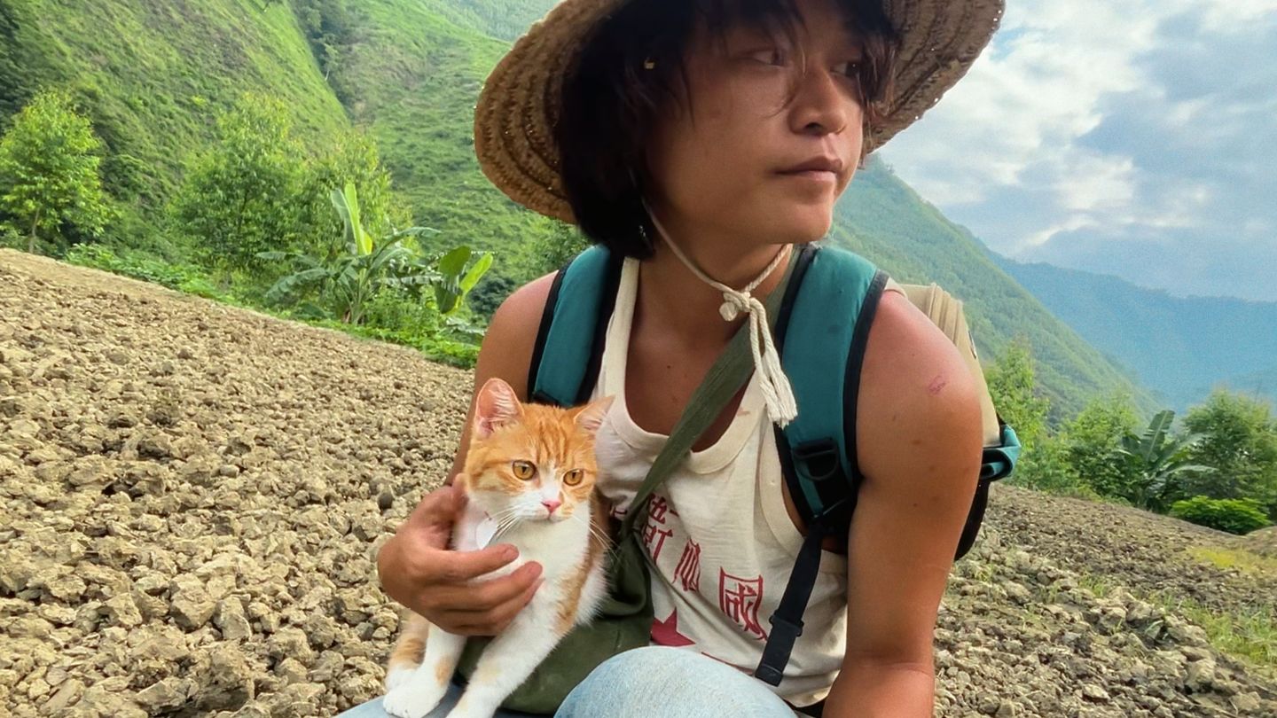 今天种菜和喂鸡，没见过版