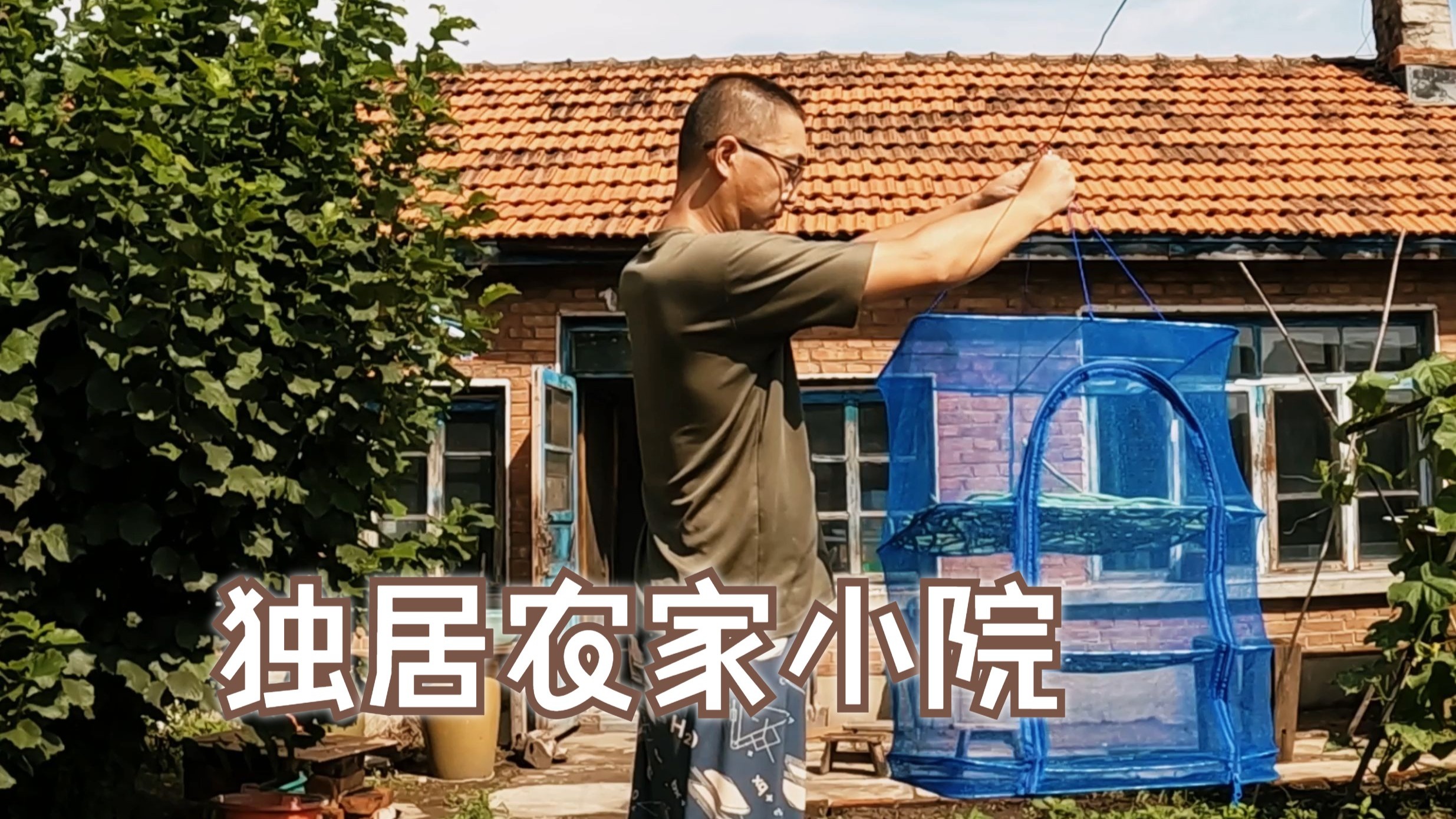 南方人在北方的院子生活，茄子吃不完，晒成茄子干留着冬天吃。