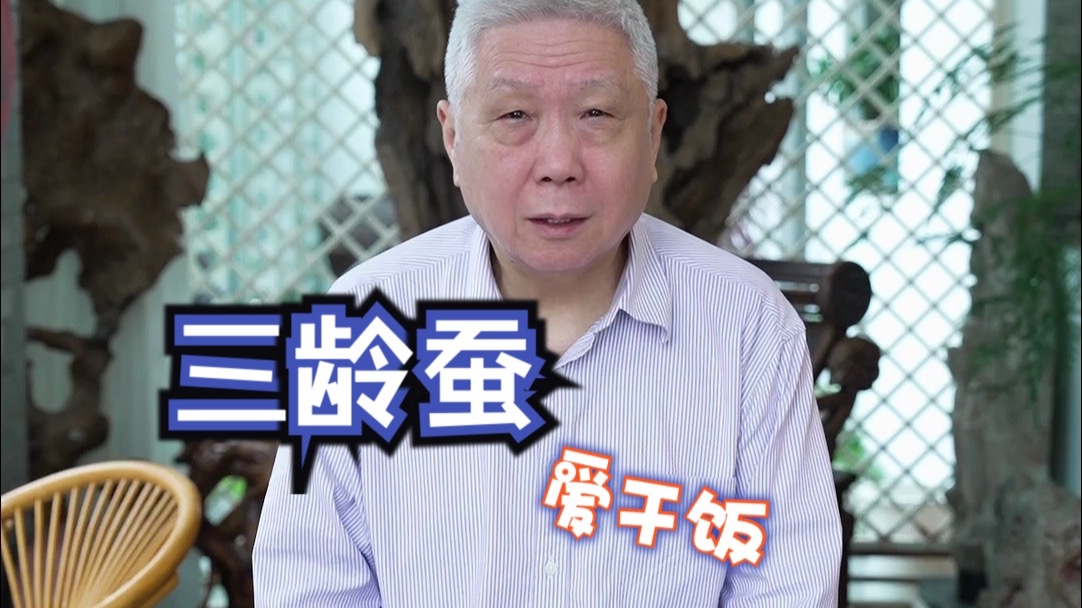 看看三龄蚕是如何“干饭的”！
