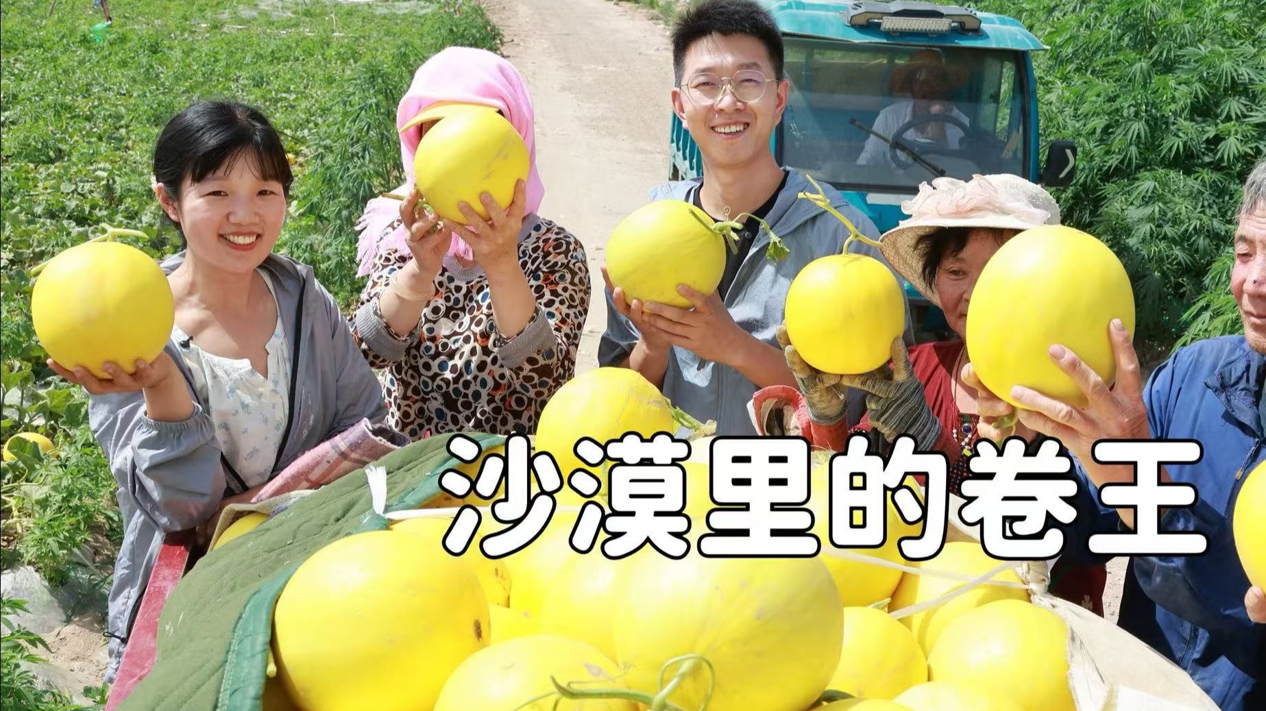 沙漠里的卷王，我敢打赌有50%的人不知道沙漠里能种出蜜瓜
