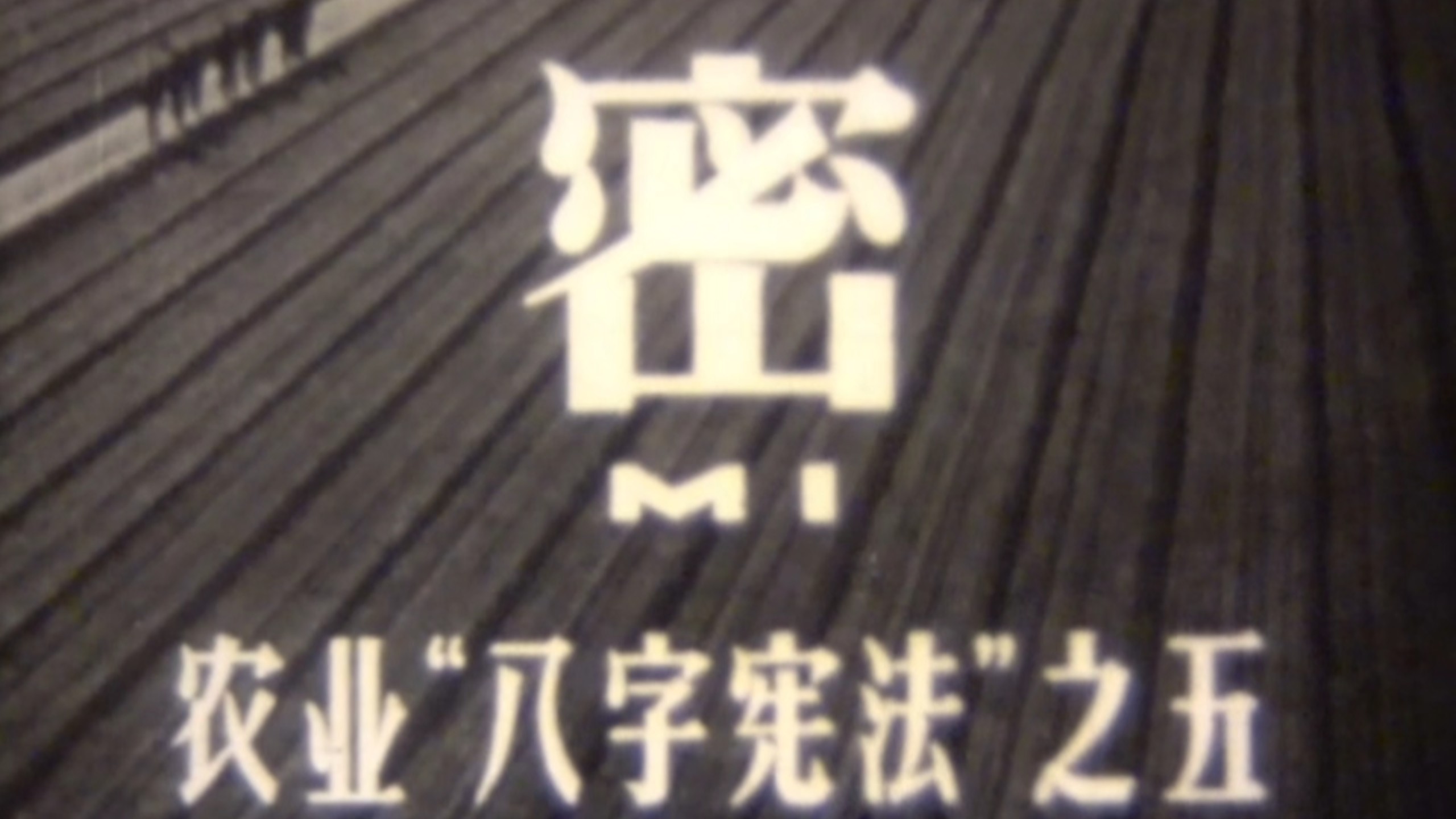 1961纪录片《农业八字宪法-密》