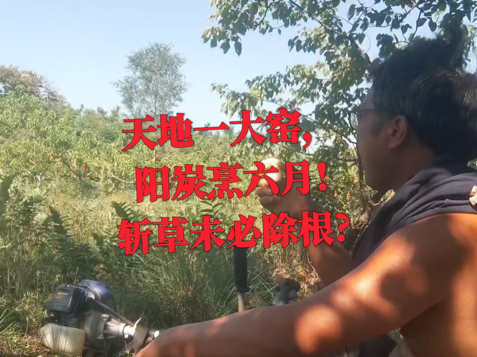 天地一大窑，阳炭烹六月!斩草未必除根?