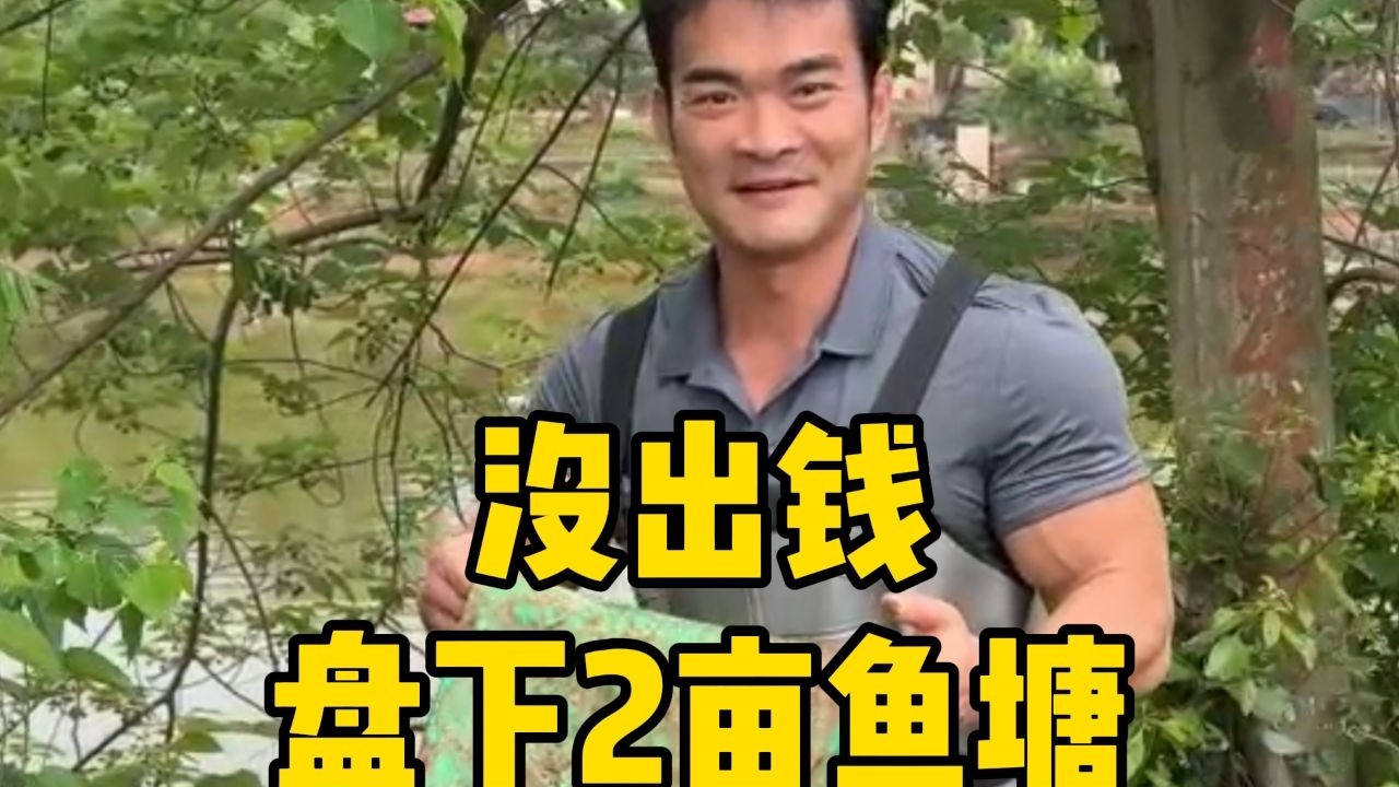 没出钱盘下2亩鱼塘，鱼和塘主对半分，这次怎么都不亏了吧？