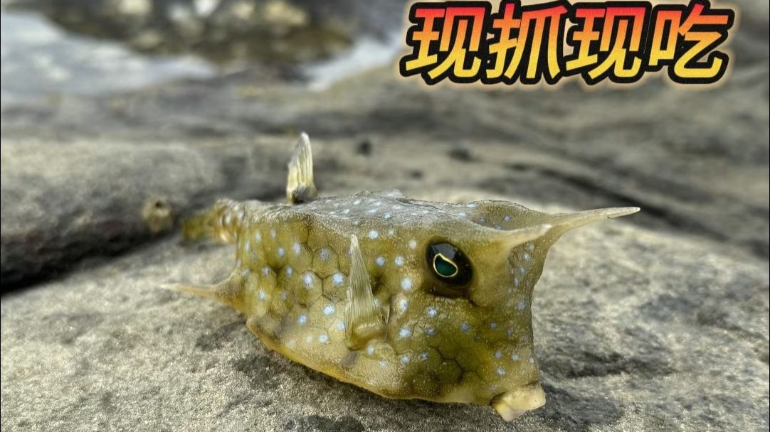 下班后海边觅食，现抓现吃自助海鲜面