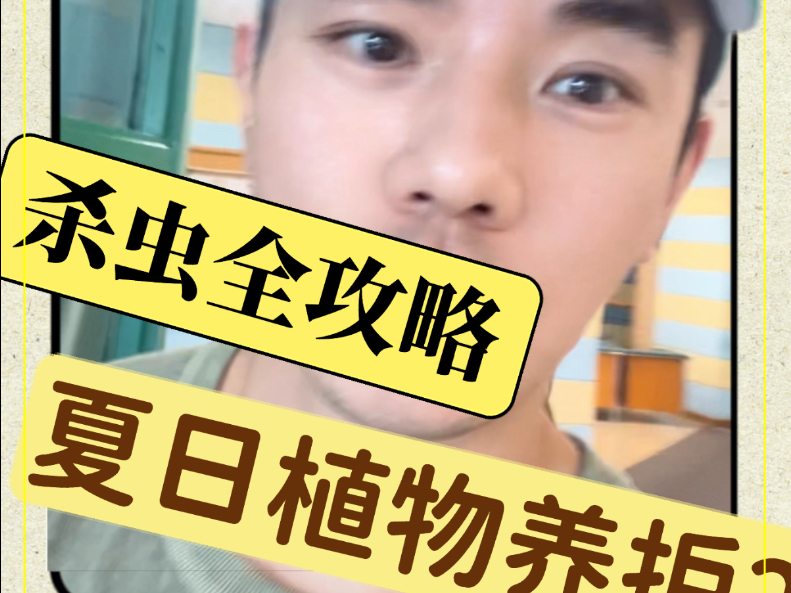 第4集｜夏季植物养护2｜杀虫