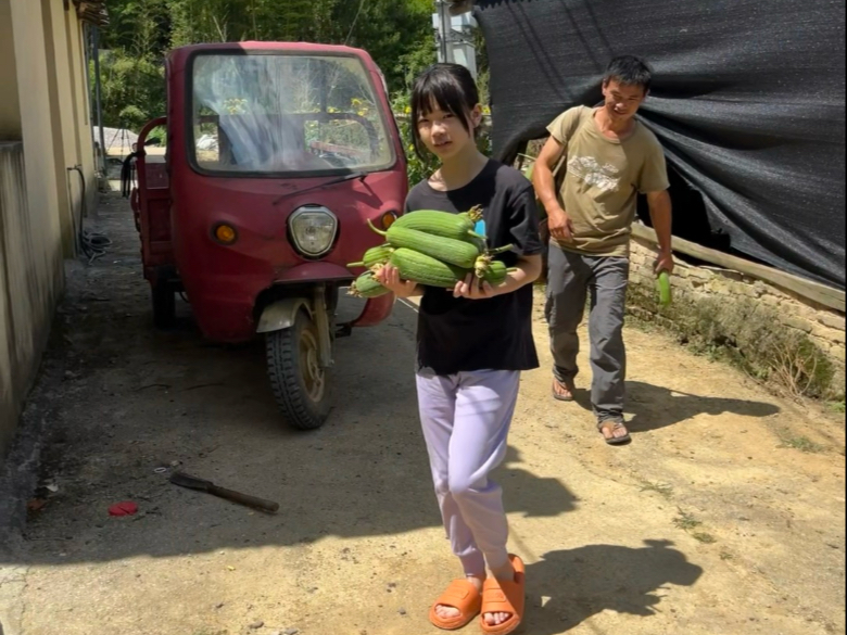 沉浸式摘菜喂猪