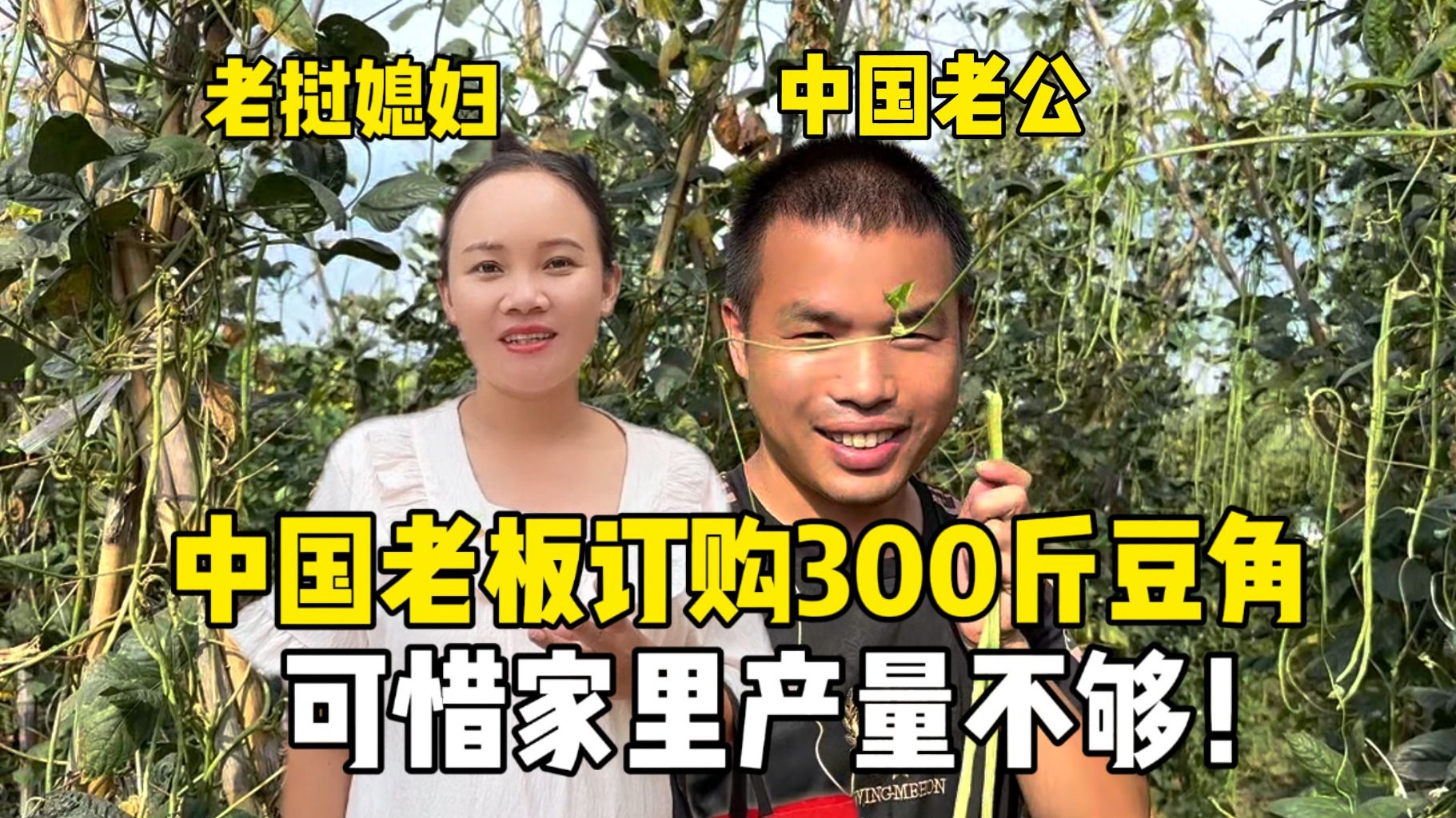 中国老板订购300斤豆角，可惜地里产量不够，拉上邻居一起卖！