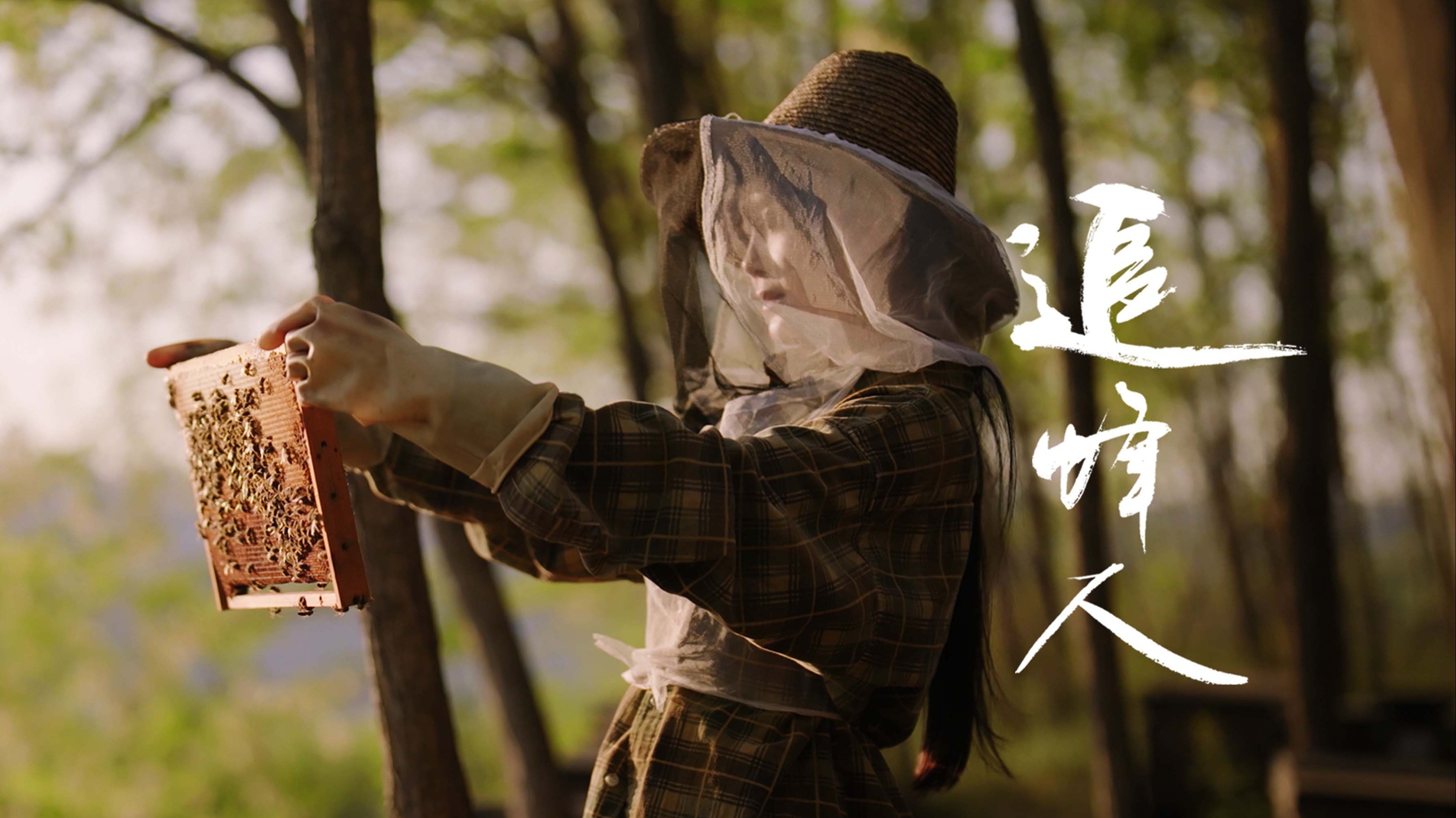 这是我见过最浪漫的职业——追蜂人