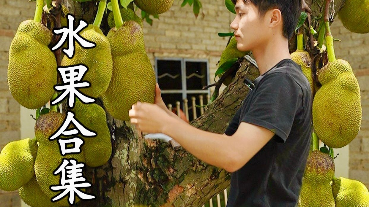 水果+阳光＝王炸，沉浸解压的水果采摘合集，看看广西人的水果自由
