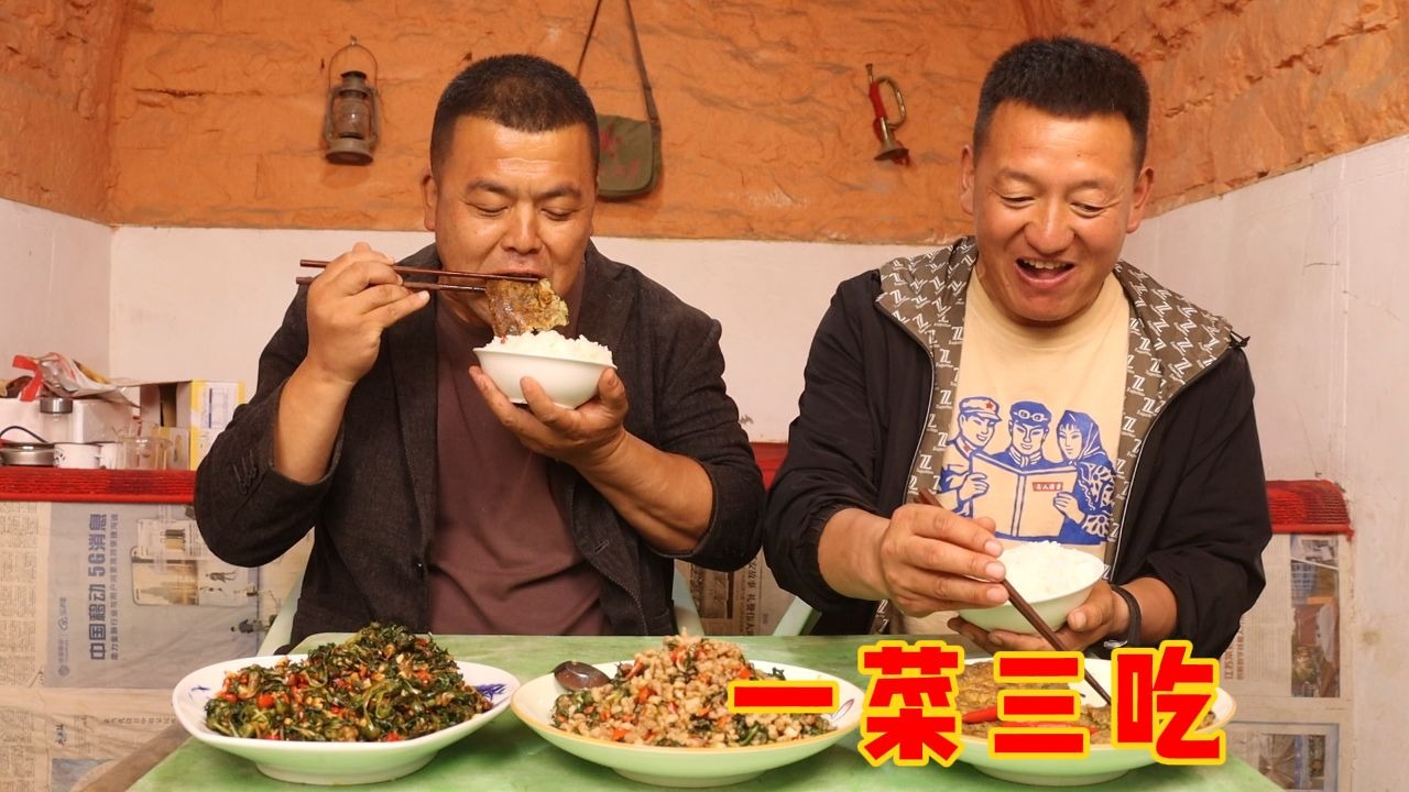春天就不用买菜，农村小伙用一种野菜做三种吃法，简单又下饭！