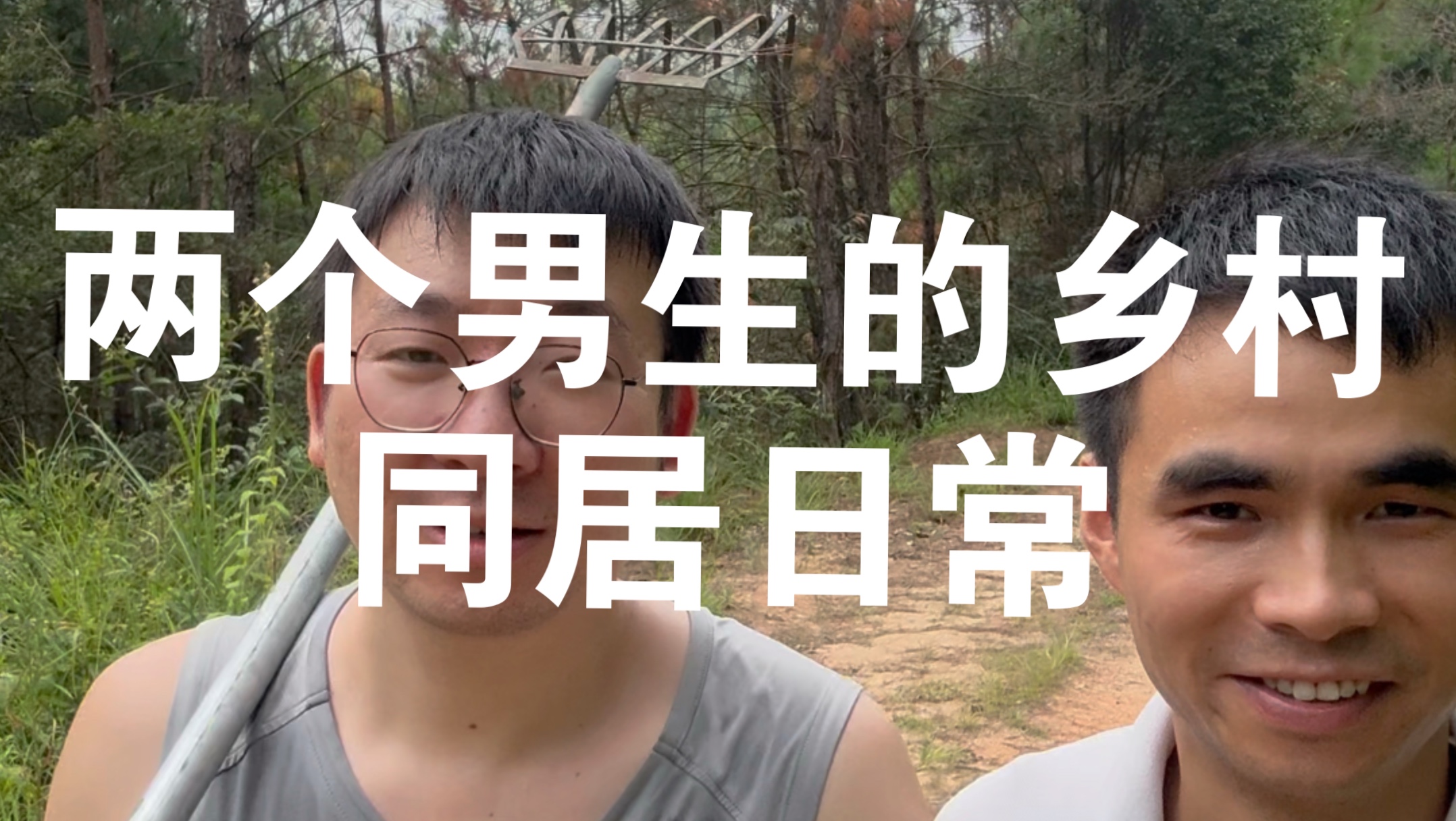 两个男生的乡村同居生活｜今天采了松针，给桂花树修枝，除了一片草
