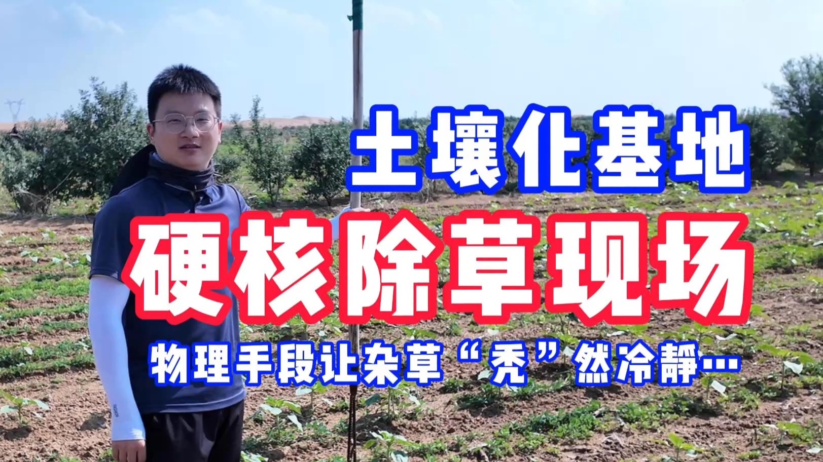 沙漠杂草太嚣张？力学博士出手，让杂草“秃”然冷静!