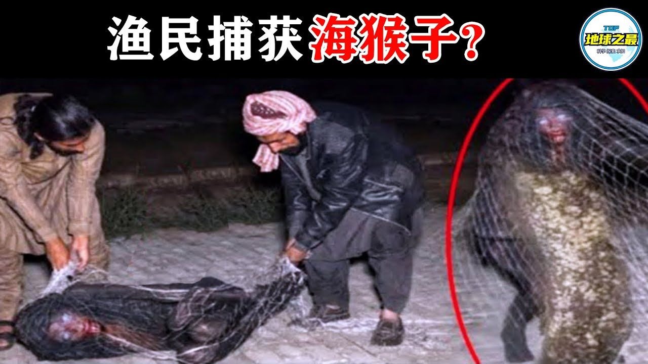 渔民捉到海猴子？15个最惊人的海洋捕获！渔民和水手们拍摄的一些