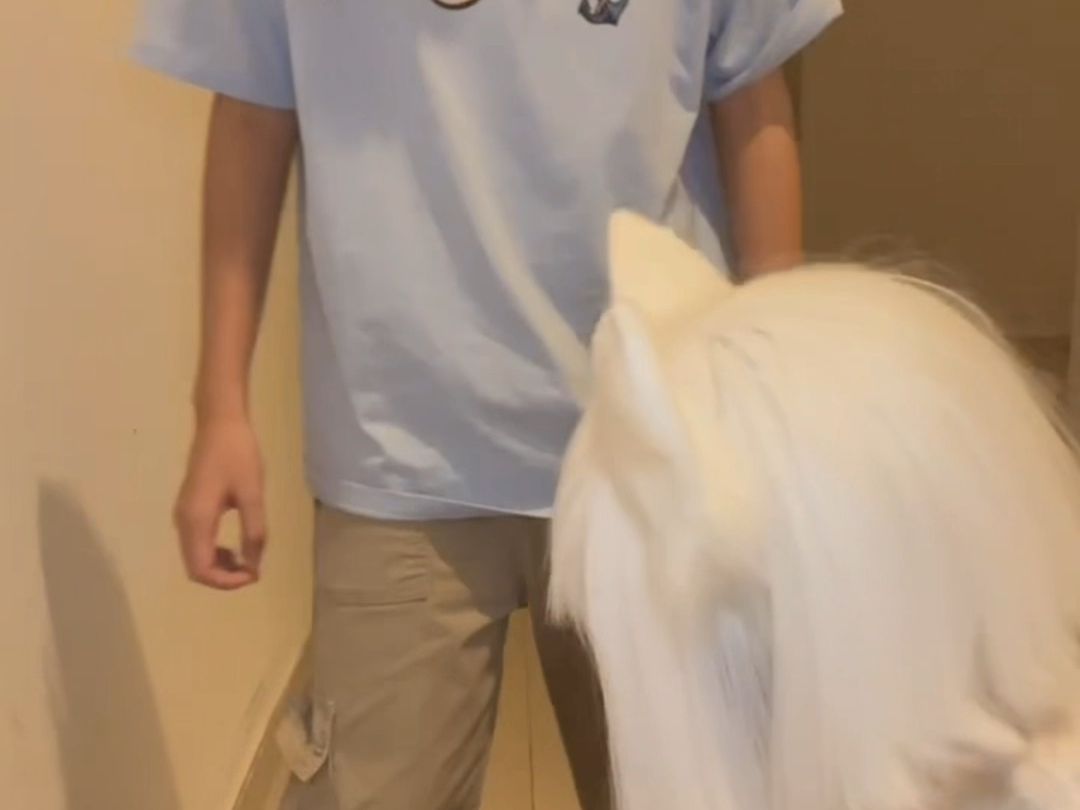 可能是狐朋狗友吧！