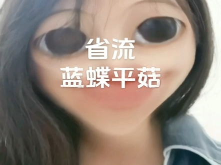 蓝蝶菇菇哦
