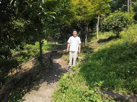 超大花园洋房