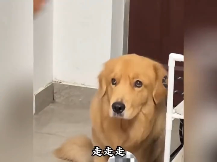 【我把梦撕了壹页】更新了一条视频，快来围观！