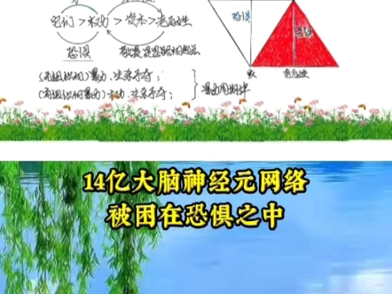 为什么14亿大脑被困在恐惧之中？#学习新知#传递事实