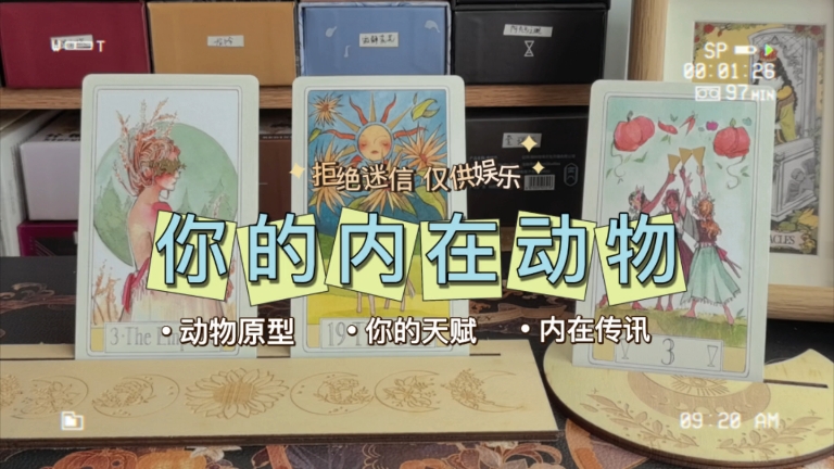 你的内在住着什么小动物呢？