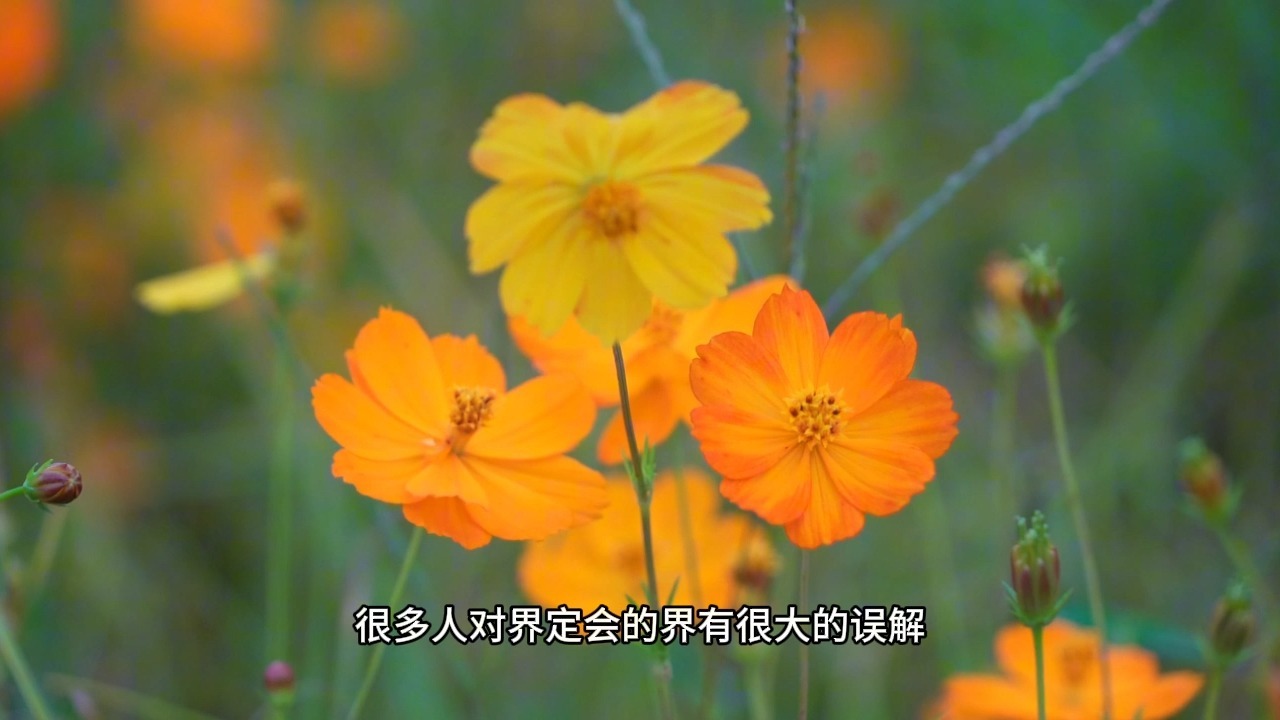 烦恼痛苦产生的底层真相是什么？我们究竟能不能时刻脱离一切烦