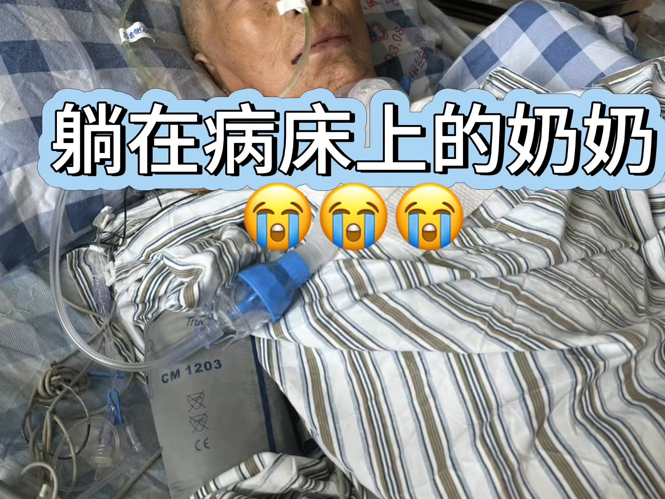 谁能想到？她背着全家烧饭的希望上山，却背着满身重伤回家……