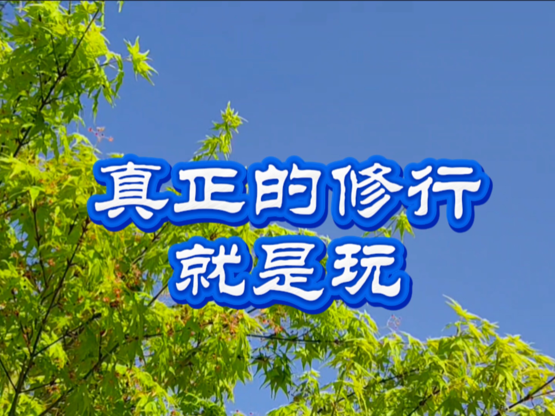 他们，绝不敢公开说的话！但那才是震撼的真相！