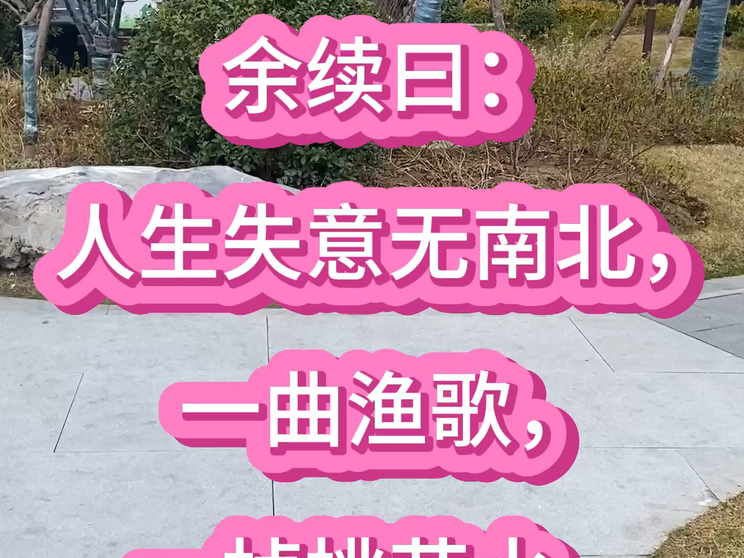 人生失意无南北